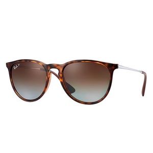 RAY BAN ☆ Polarized Tortoise Erika Classic